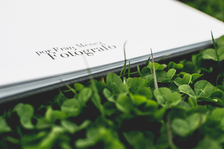 Álbum para reportajes fotográficos 1