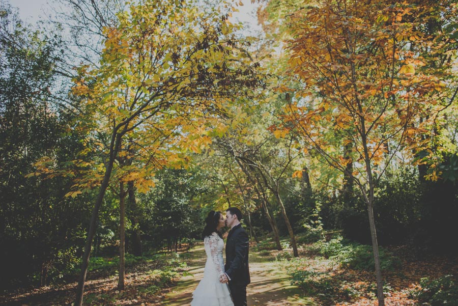 Boda en Carmen de los Martires. Fotografías de Boda en Carmen de los Mártires. Fran Ménez Fotógrafo 46