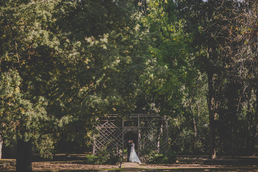 Boda en Carmen de los Martires. Fotografías de Boda en Carmen de los Mártires. Fran Ménez Fotógrafo 53