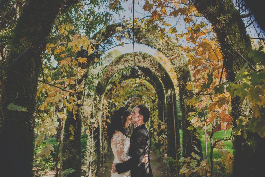 Boda en Carmen de los Martires. Fotografías de Boda en Carmen de los Mártires. Fran Ménez Fotógrafo 63