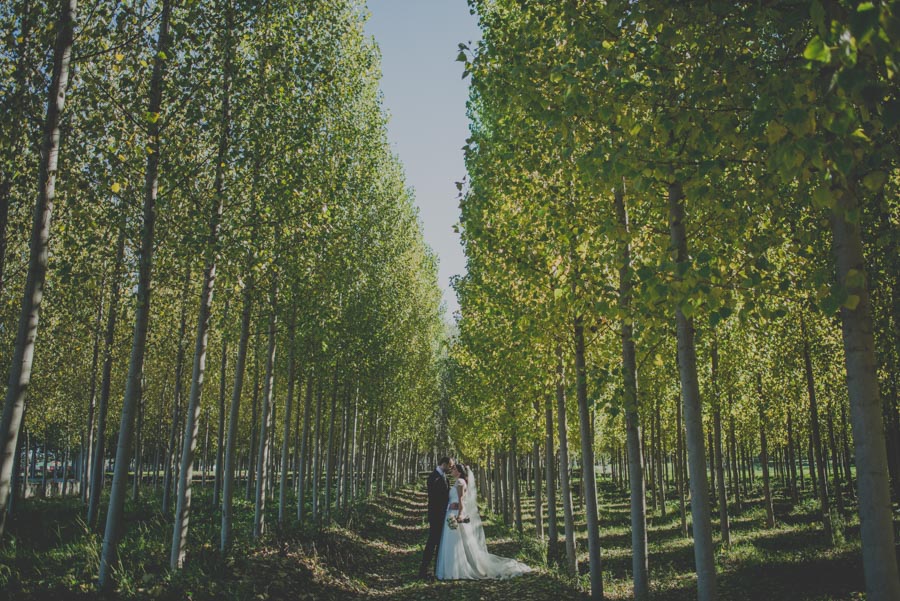 Fotografias-de-boda-en-la-finca-granada-priscila-y-adolfo-fran-menez-fotografos-de-boda-35