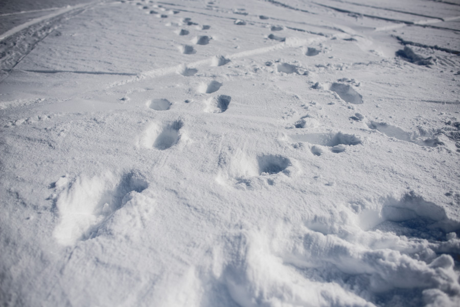 Sesion Post Boda en Sierra Nevada. Fran Menez Fotografos de Boda en Sierra Nevada, Granada 6