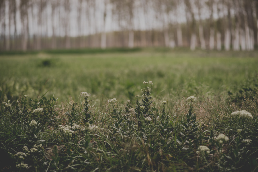 Pre Boda Marina y Angel. Fran Ménez Fotógrafo de Bodas en Granada. Reportajes Naturales 20
