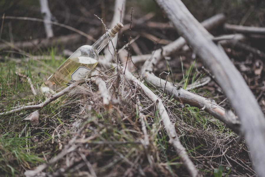 Fatima y Antonio. Pre Boda en el Bosque. Fran Ménez Fotografos de Boda 1