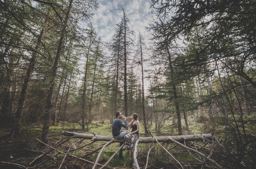 Fatima y Antonio. Pre Boda en el Bosque. Fran Ménez Fotografos de Boda 2