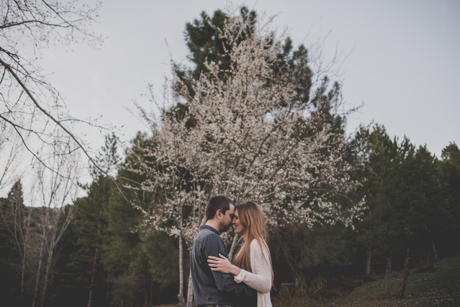 Fatima y Antonio. Pre Boda en el Bosque. Fran Ménez Fotografos de Boda 25