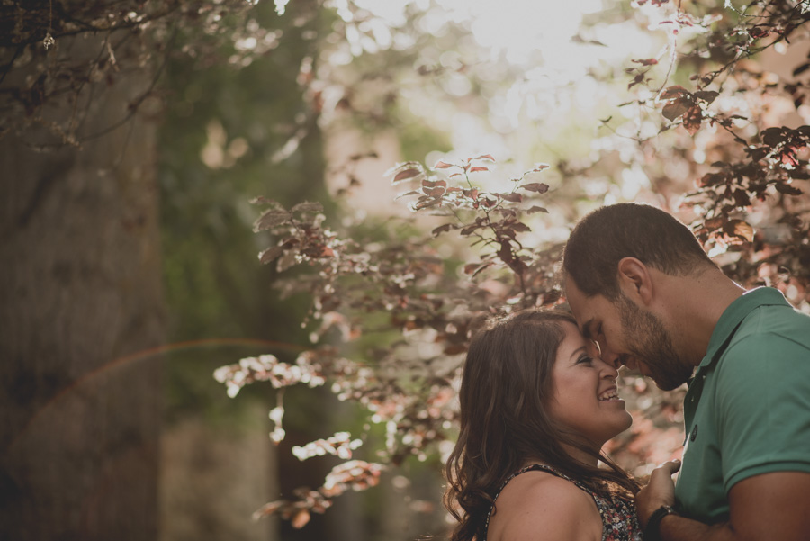 Pre Boda en exteriores de la Alhambra. Nuria y Enrique 12