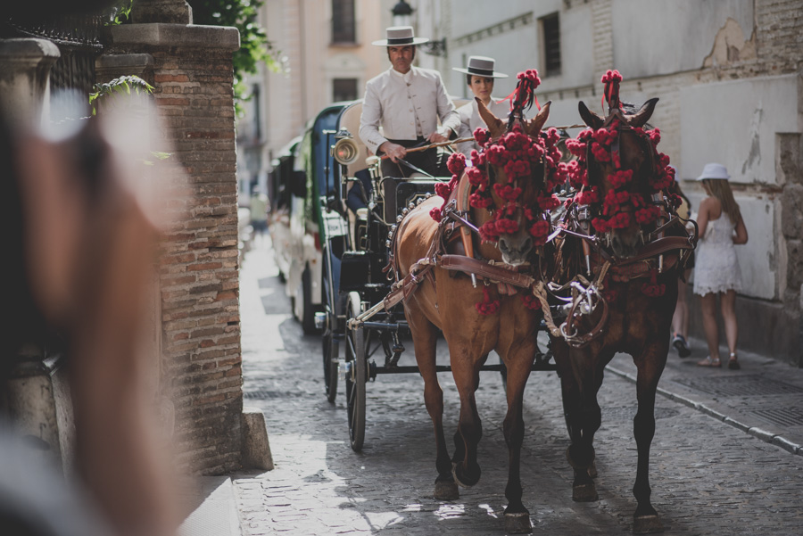 boda-en-iglesia-san-pedro-y-san-pablo-boda-en-el-carmen-de-los-chapiteles-angel-y-marina-21