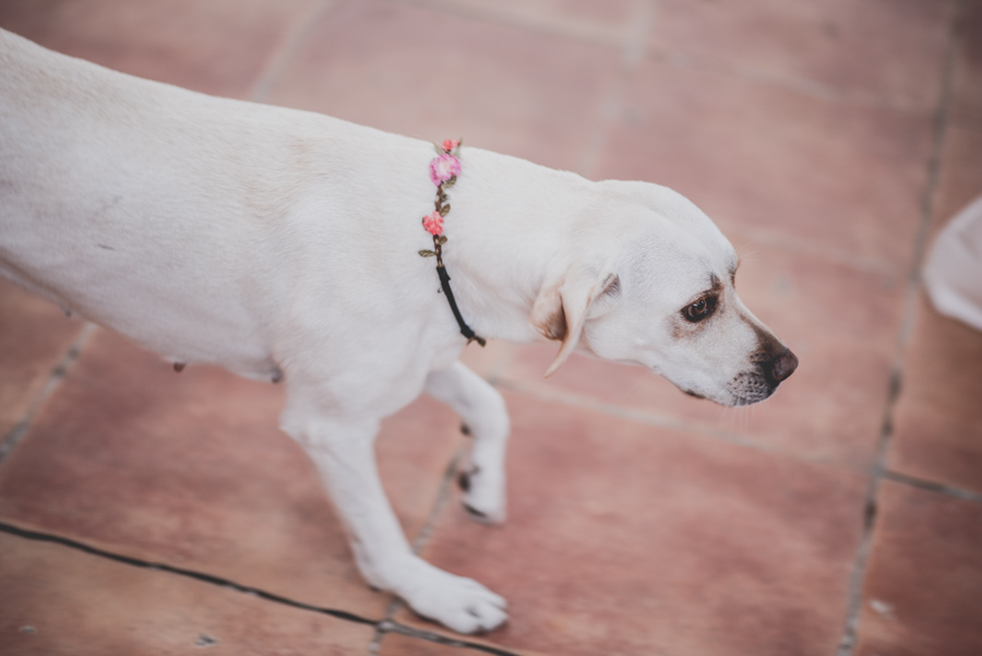 boda-en-los-jardines-de-jabalcuz-fran-menez-fotografo-de-bodas-en-jaen-56