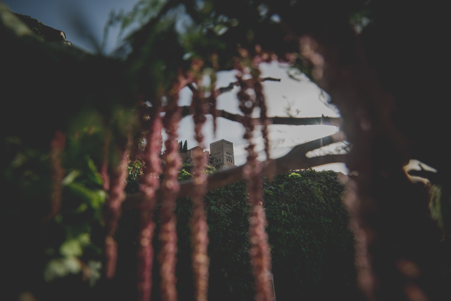 Fotografias de Boda en el Carmen de los Chapiteles. Fran Ménez Fotógrafo de Bodas en Granada. Boda de Lola y Jose