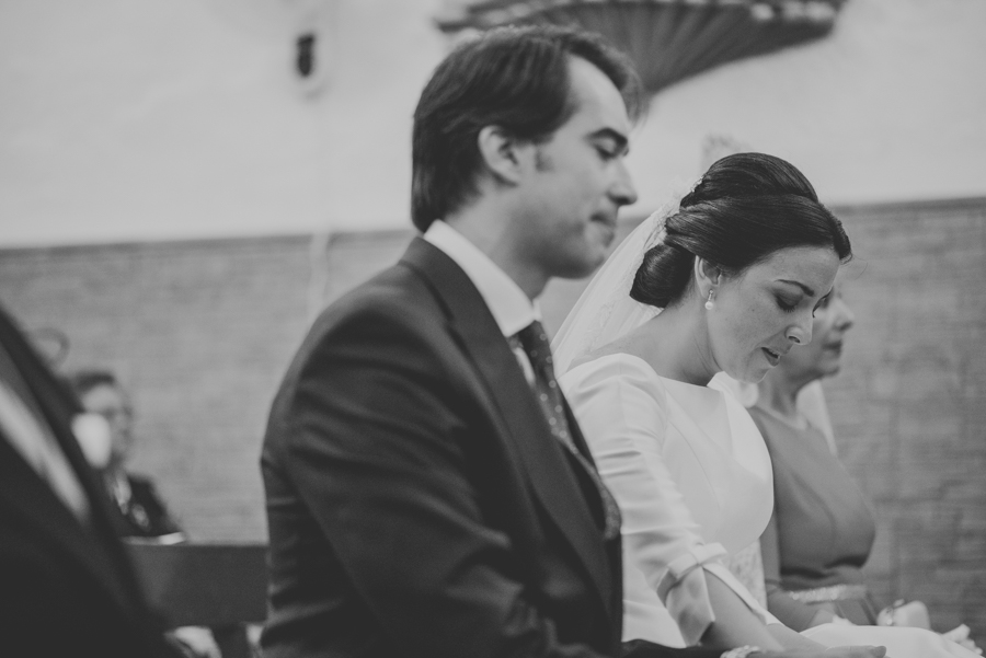 Boda en Alicun de Ortega. Fotografo de Bodas en Alicun de Ortega. Hotel Real de la Alhambra. Ana y Javi