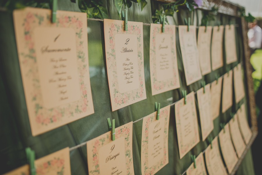Boda en Alicun de Ortega. Fotografo de Bodas en Alicun de Ortega. Hotel Real de la Alhambra. Ana y Javi