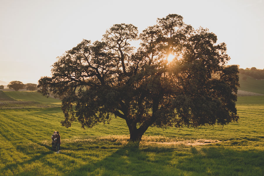 Pre Boda de Ana y Sergio. Fran Ménez Fotógrafos de Pre Bodas en Primavera, Naturales, en Granada 21
