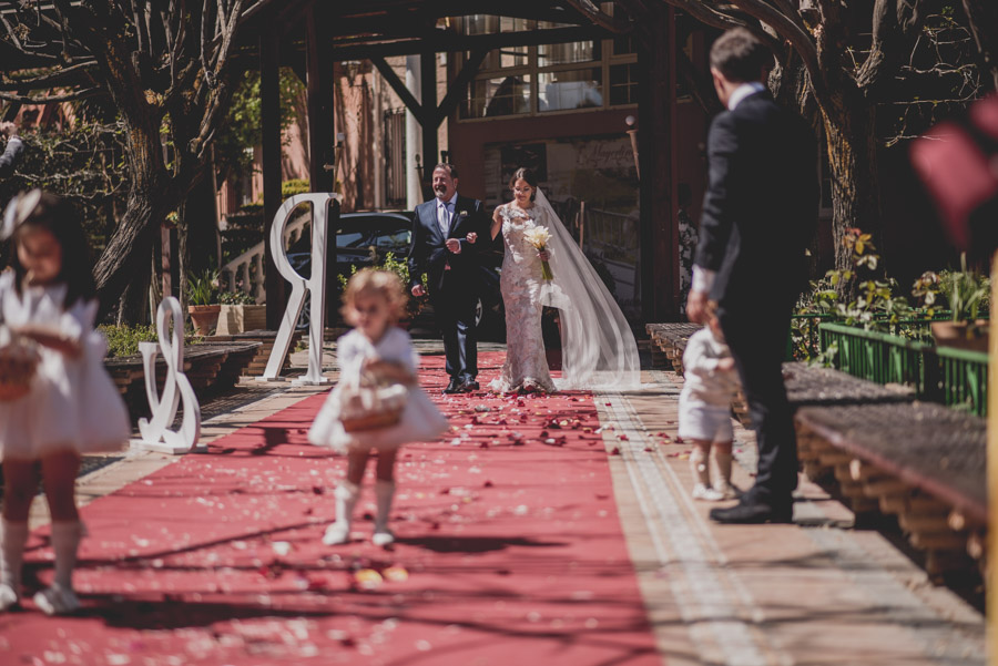 Fotografias de Boda de Raquel y Juanma en el Restaurante Mayerling. Boda Civil. Fran Ménez Fotógrafo de Bodas en Granada 45