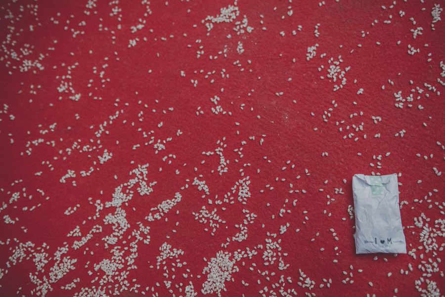 Boda en San Ildefonso. Fotografías de Boda en La Finca, Granada. María y Nacho. Fran Ménez Fotografo de Bodas 64