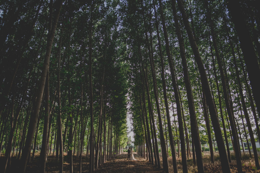 Boda en San Ildefonso. Fotografías de Boda en La Finca, Granada. María y Nacho. Fran Ménez Fotografo de Bodas 65