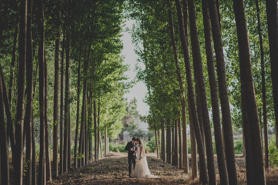 Boda en San Ildefonso. Fotografías de Boda en La Finca, Granada. María y Nacho. Fran Ménez Fotografo de Bodas 66