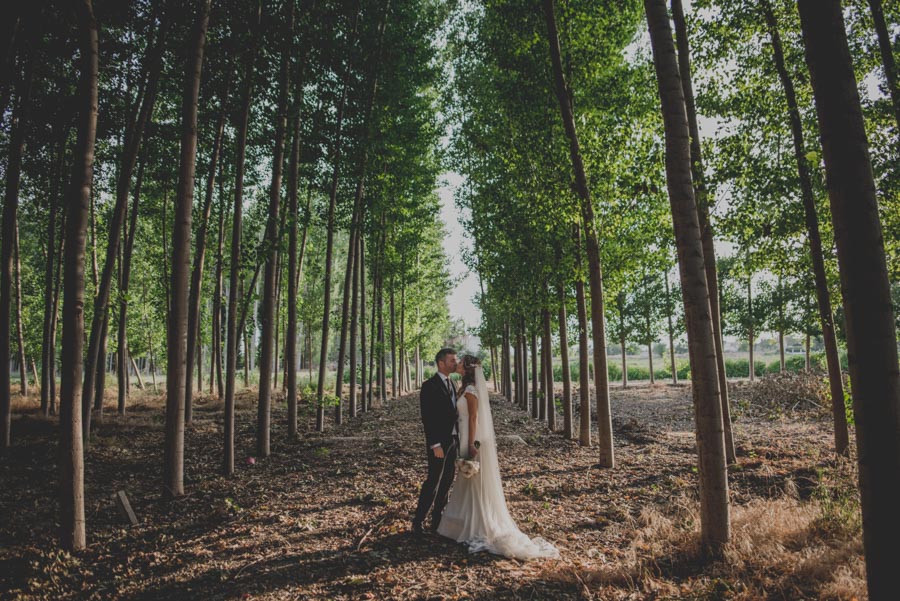 Boda en San Ildefonso. Fotografías de Boda en La Finca, Granada. María y Nacho. Fran Ménez Fotografo de Bodas 67