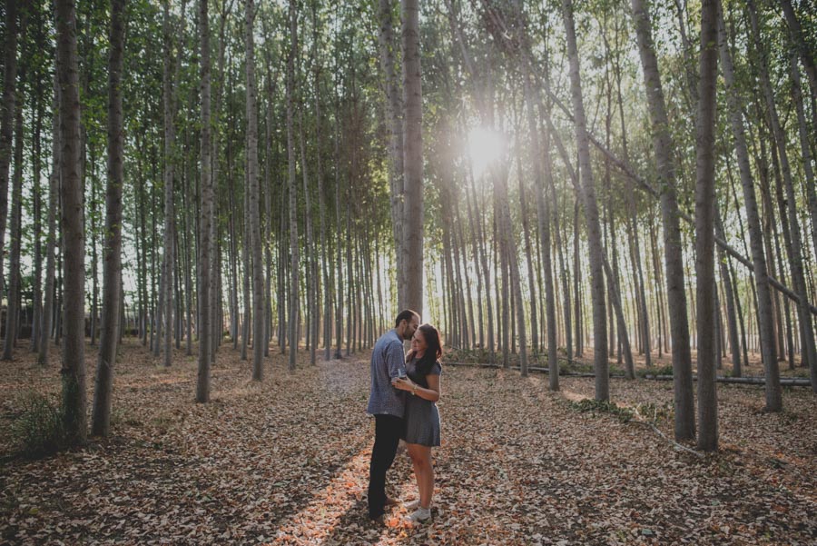 Reportaje de Pareja en el entorno de la Vega de Granada. Carla y Pedro. Fran Ménez Fotógrafo en Granada 1
