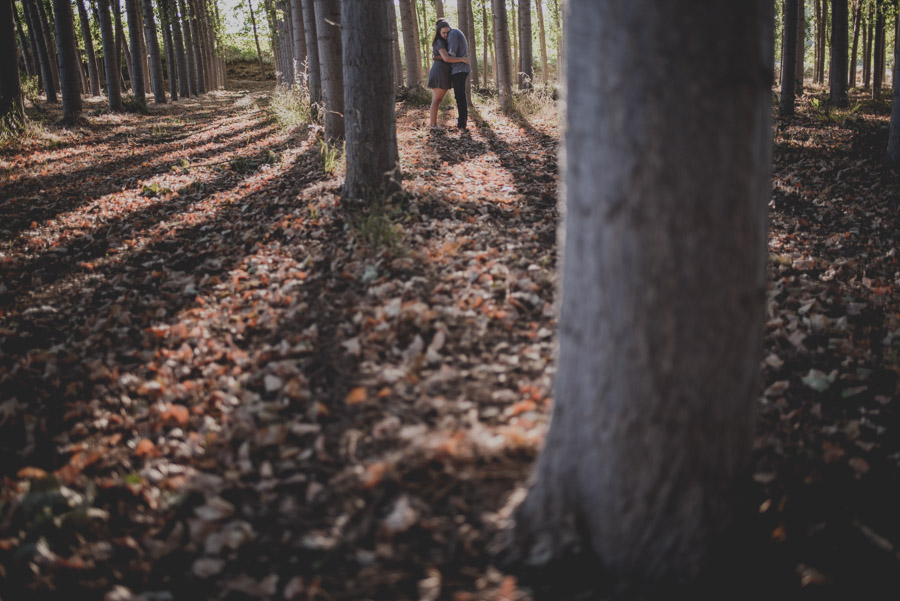 Reportaje de Pareja en el entorno de la Vega de Granada. Carla y Pedro. Fran Ménez Fotógrafo en Granada 10