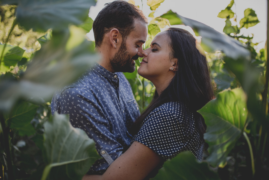 Reportaje de Pareja en el entorno de la Vega de Granada. Carla y Pedro. Fran Ménez Fotógrafo en Granada 18