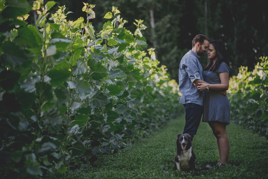 Reportaje de Pareja en el entorno de la Vega de Granada. Carla y Pedro. Fran Ménez Fotógrafo en Granada 19
