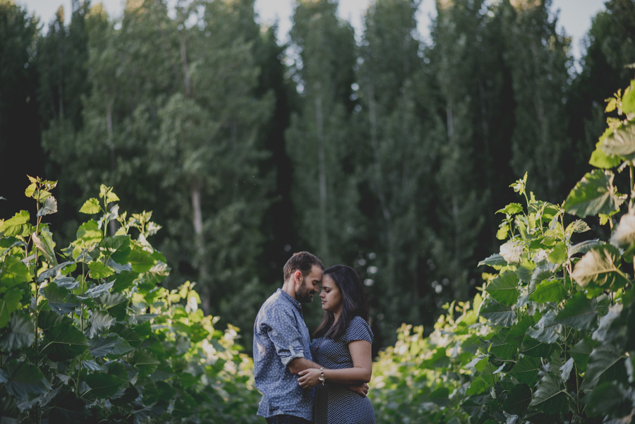 Reportaje de Pareja en el entorno de la Vega de Granada. Carla y Pedro. Fran Ménez Fotógrafo en Granada 20