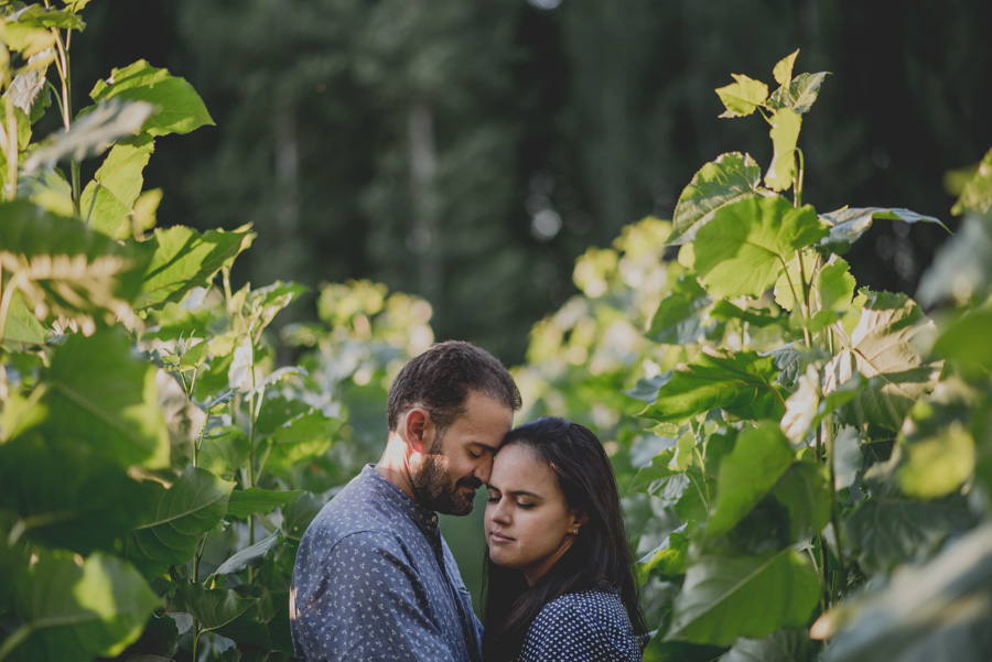 Reportaje de Pareja en el entorno de la Vega de Granada. Carla y Pedro. Fran Ménez Fotógrafo en Granada 22