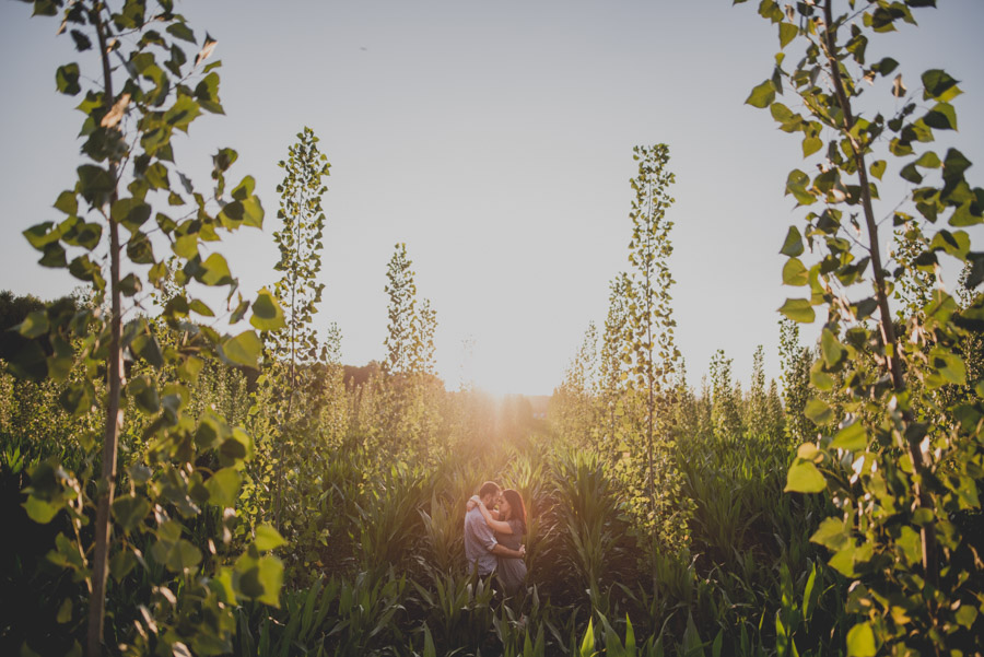 Reportaje de Pareja en el entorno de la Vega de Granada. Carla y Pedro. Fran Ménez Fotógrafo en Granada 23