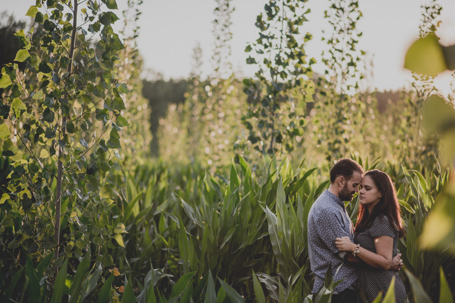 Reportaje de Pareja en el entorno de la Vega de Granada. Carla y Pedro. Fran Ménez Fotógrafo en Granada 24