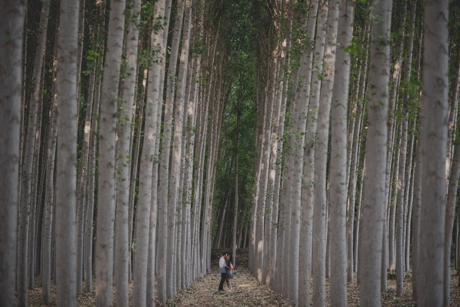 Reportaje de Pareja en el entorno de la Vega de Granada. Carla y Pedro. Fran Ménez Fotógrafo en Granada 4