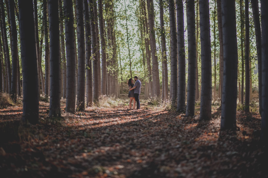 Reportaje de Pareja en el entorno de la Vega de Granada. Carla y Pedro. Fran Ménez Fotógrafo en Granada 7