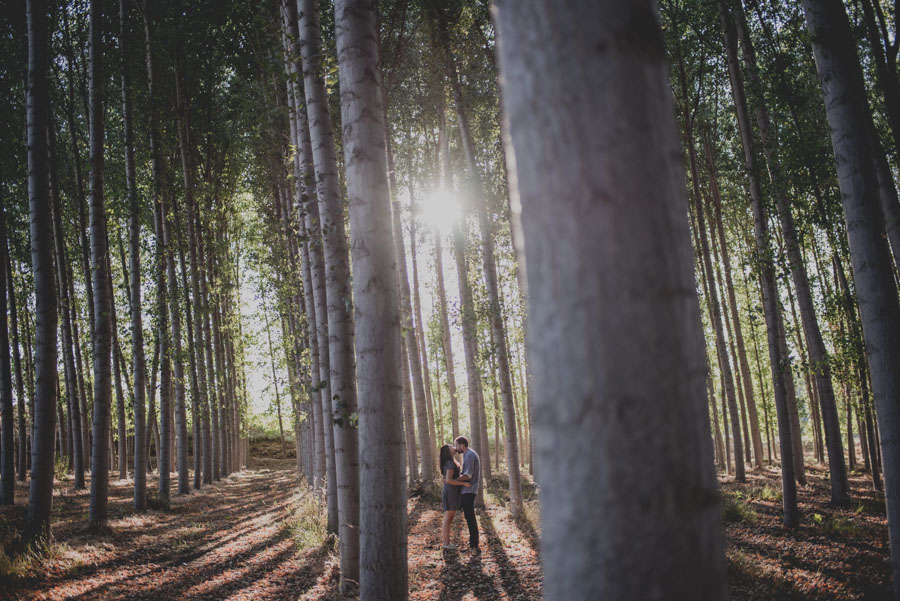 Reportaje de Pareja en el entorno de la Vega de Granada. Carla y Pedro. Fran Ménez Fotógrafo en Granada 9