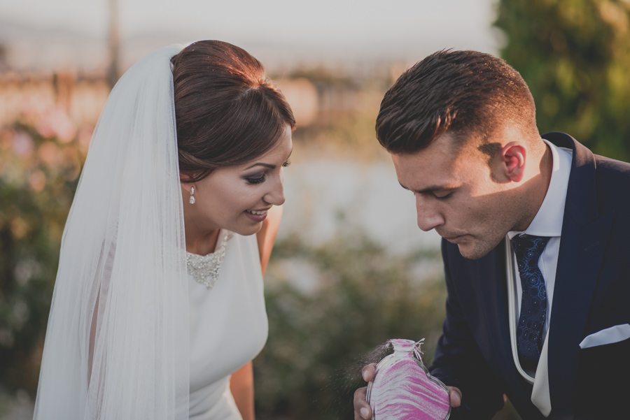 Eva y Eloy. Fotografias de Boda en los Jardines de Siddharta, Huetor Vega, Granada. Fran Ménez Fotógrafo de Bodas. 58
