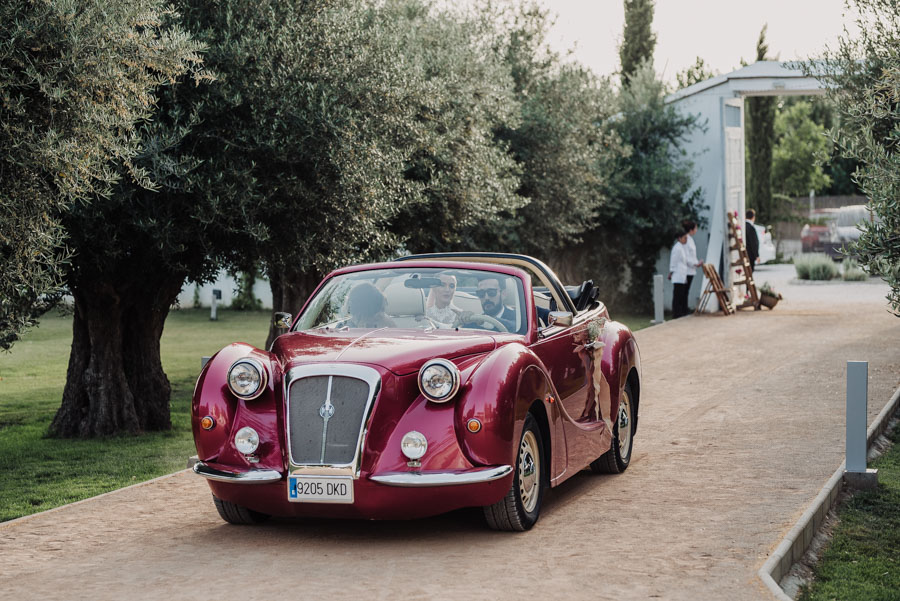 Ana y Victor. Fotografias de Boda en el Cortijo de Enmedio. Fran Ménez Fotógrafos de Bodas en Granada 42