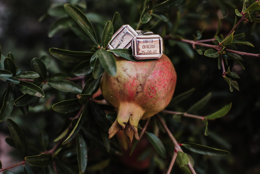 Boda-en-Tocon.-Yasmina-y-Carlos.-Fran-Menez-Fotografo-Bodas-Granada-3