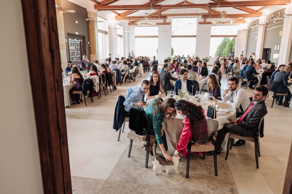 Boda-civil-en-el-Senorio-de-Nevada.-Maria-y-Daniel-por-Fran-Menez-Fotografo-197
